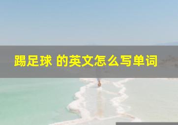 踢足球 的英文怎么写单词